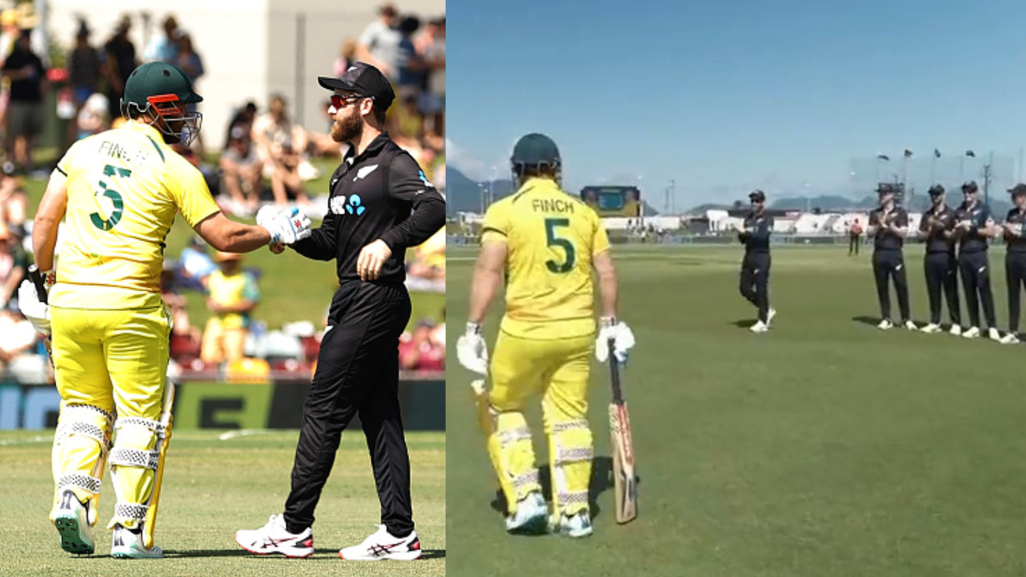 AUS v NZ 2022: WATCH- Kane Williamson’s New Zealand gives guard of honor to Aaron Finch in his final ODI
