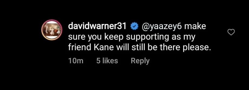 David Warner replied to fan | Instagram 