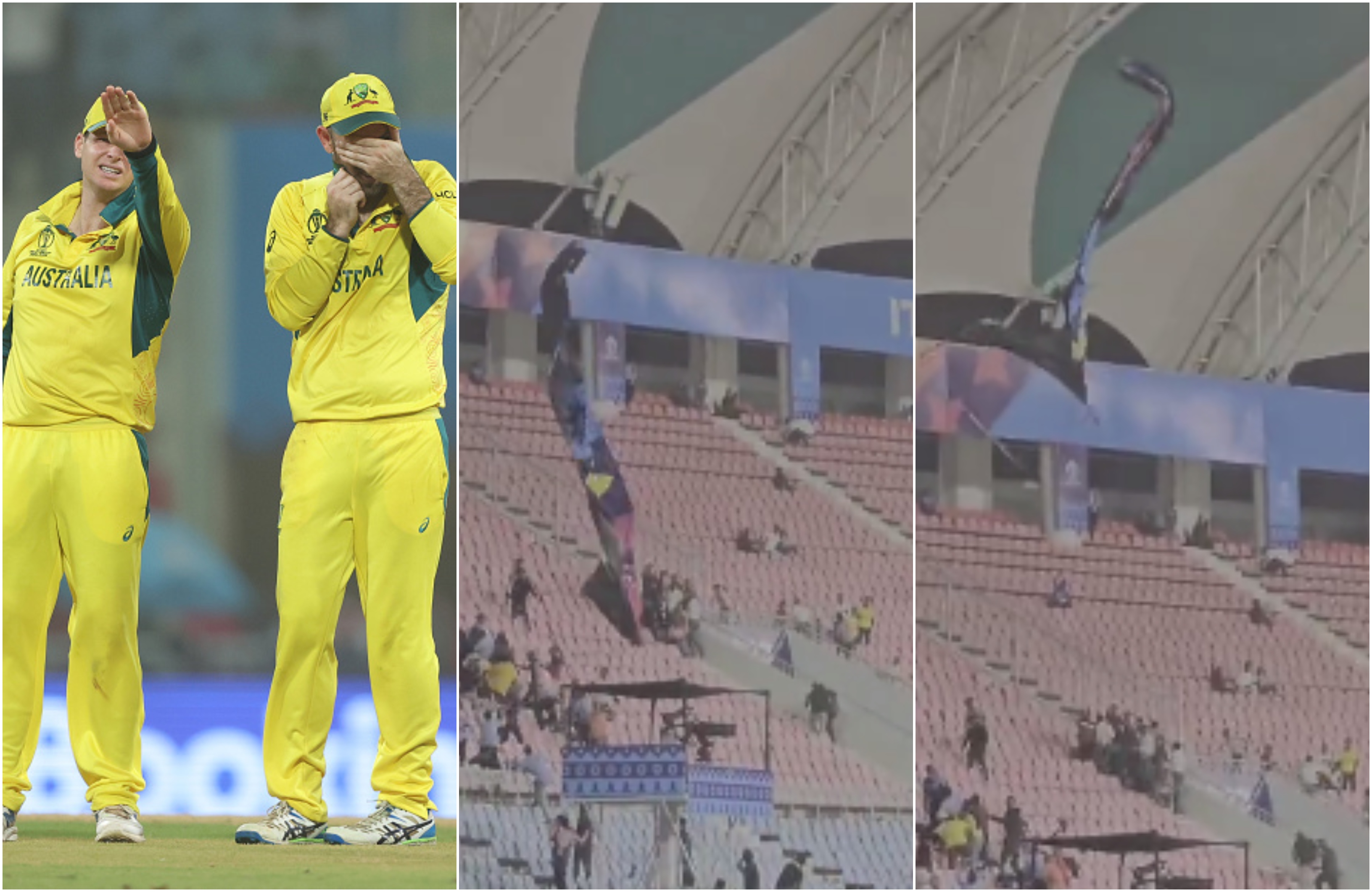 Steve Smith and Glenn Maxwell were watching the incident from afar | Getty/X