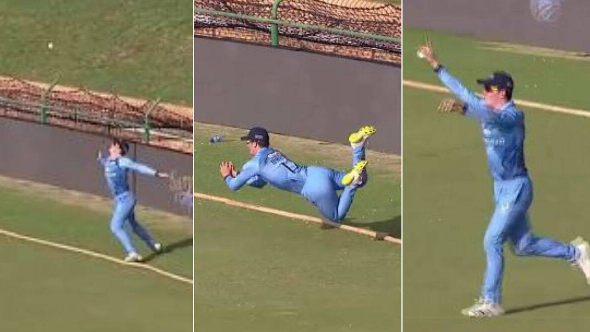 WATCH- Dewald Brevis takes a brilliant acrobatic catch at the boundary after hitting record century