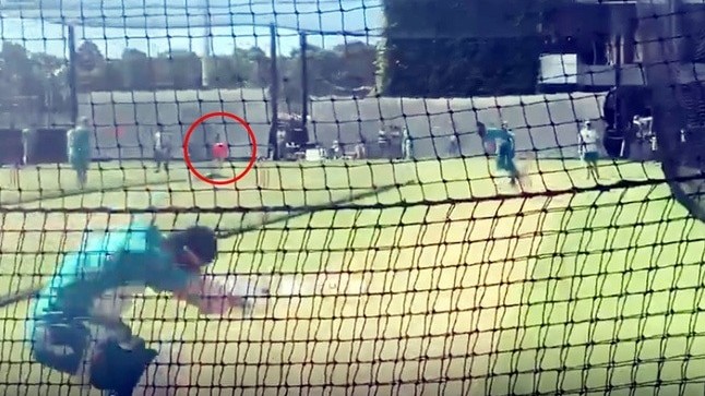 AUS v IND 2020-21: WATCH – Mitchell Starc begins net session with a fiery bouncer to Marnus Labuschagne