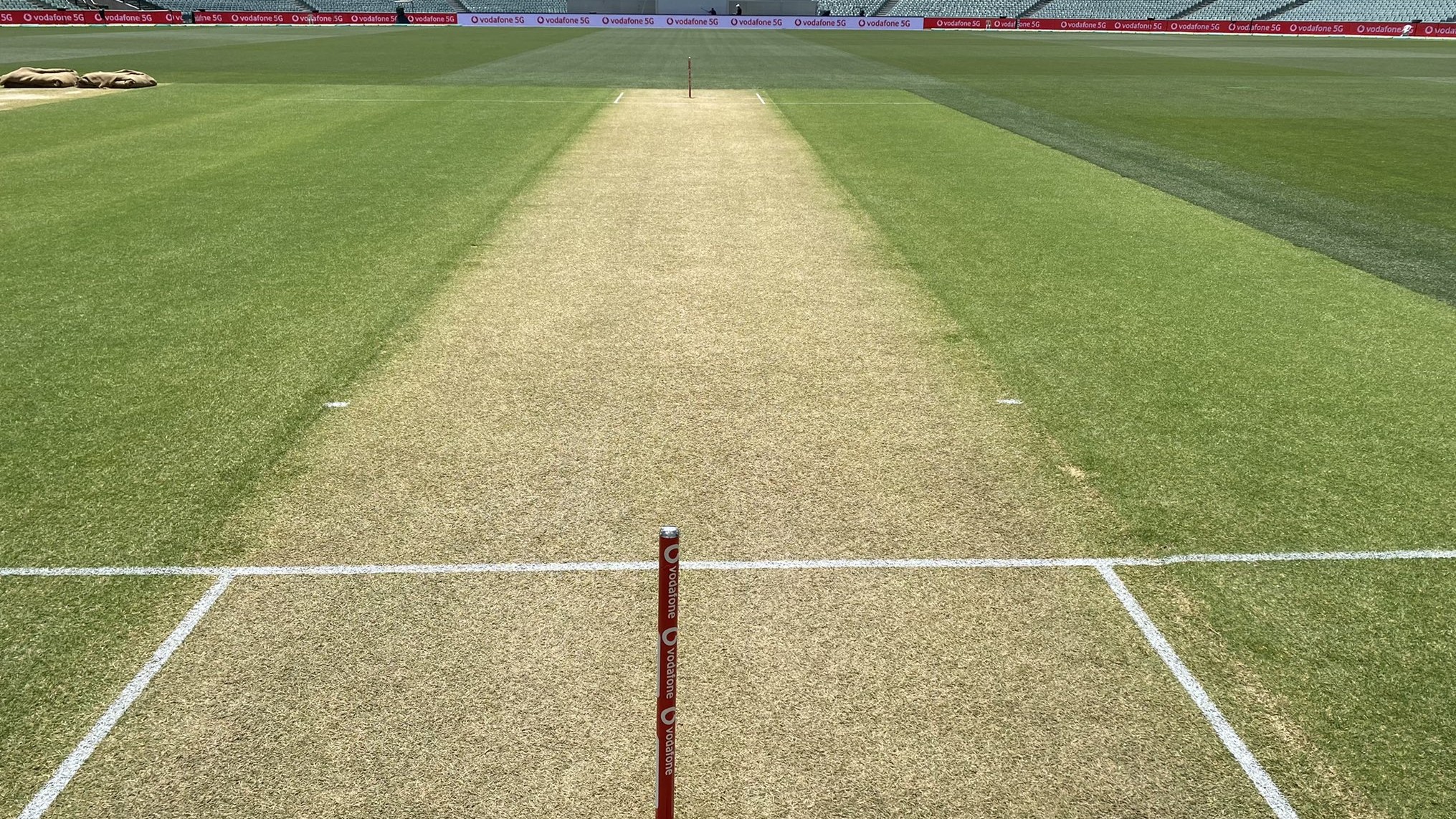 AUS v IND 2020-21 : पिच पर मौजूद हरा रंग पर बल्लेबाज़ी के अनुकूल - जानिये डे-नाईट टेस्ट मैच से पहले पिच का हाल 