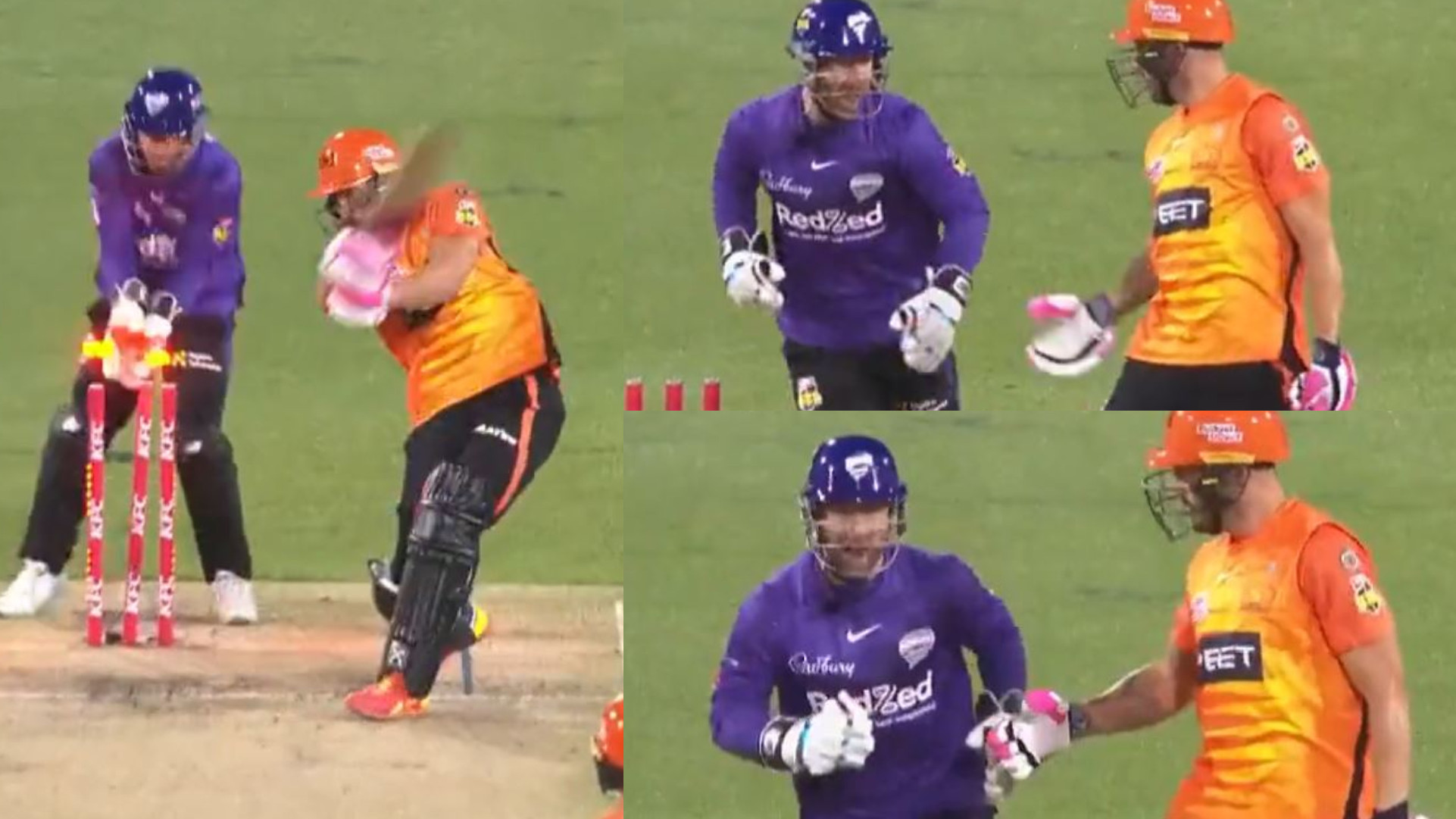 BBL 12: WATCH- Matthew Wade apologizes to Faf du Plessis for yelling ‘bowled’ before ball hits stumps