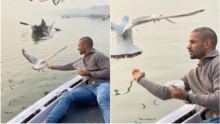 Shikhar Dhawan feeds birds amid bird flu; action to be taken against boatman, says Varanasi DM