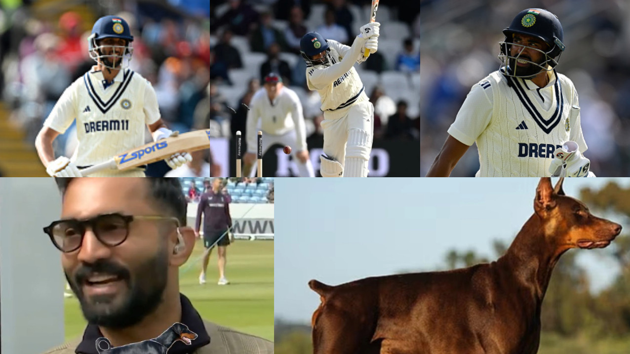 ENG v IND 2025: WATCH- ‘No tail at all’- Dinesh Karthik reads X post comparing India’s tailenders with Doberman dog