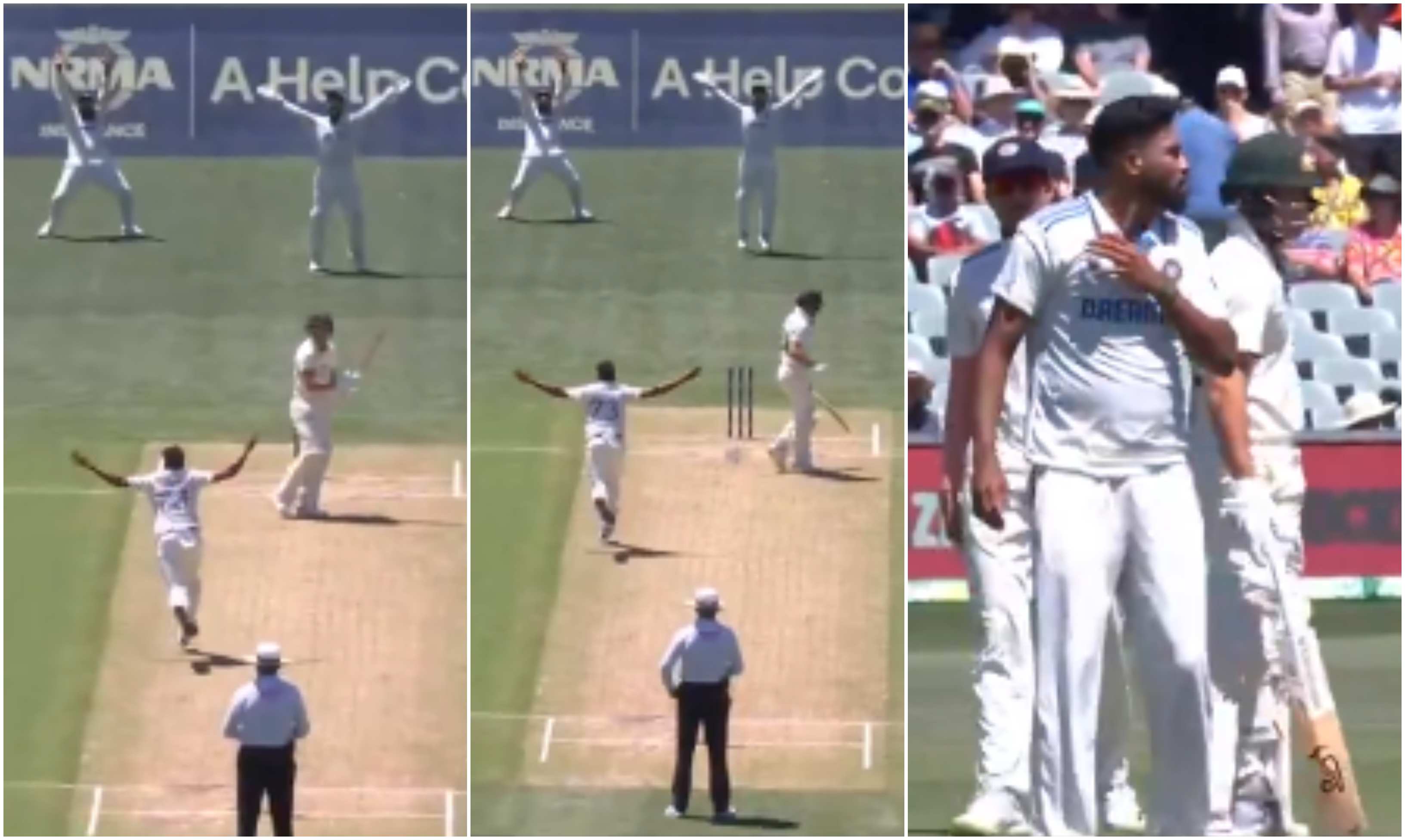 Mohammed Siraj | @cricketcomau/Screengrab