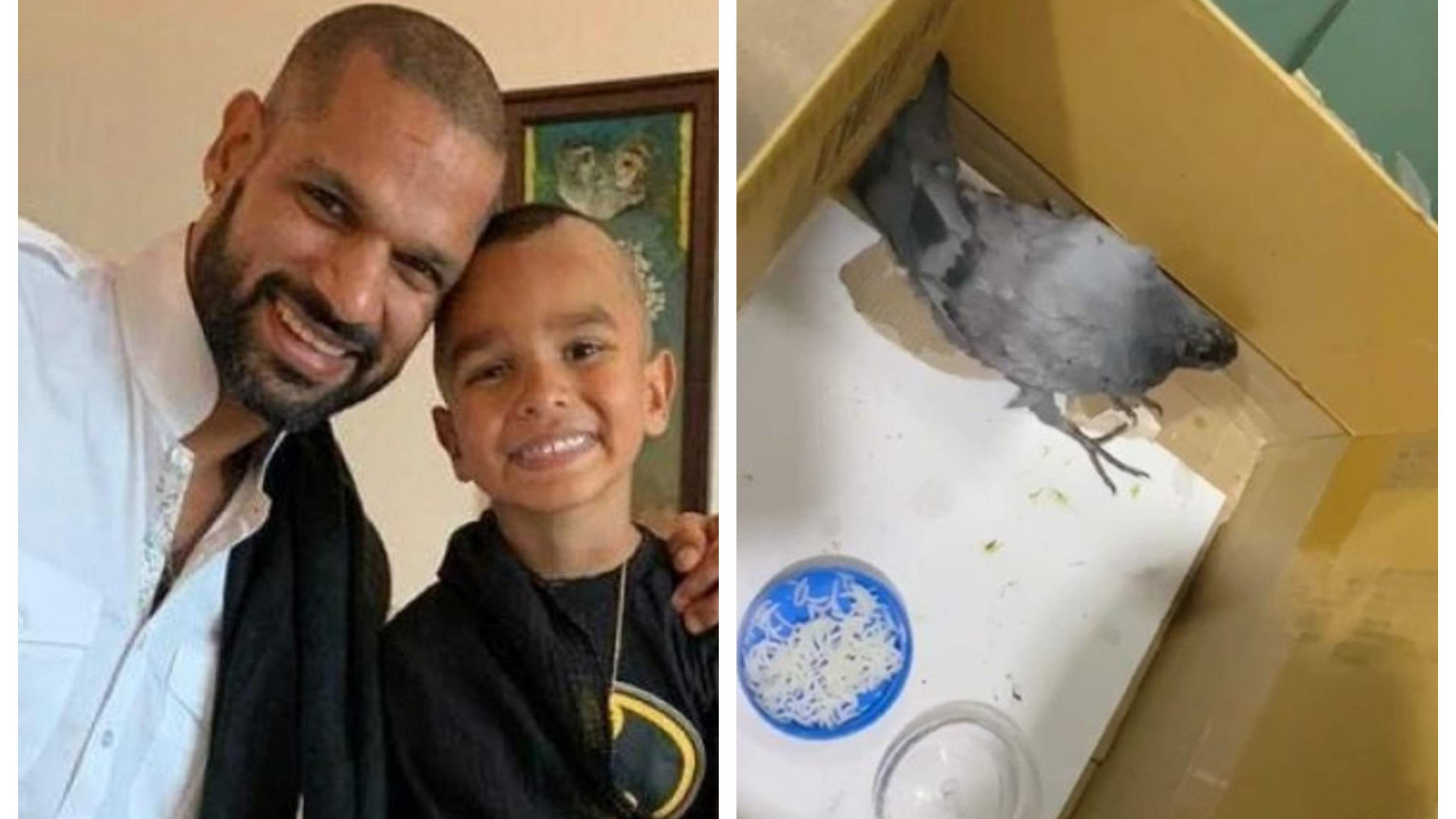 WATCH: Shikhar Dhawan rescues a pigeon, son Zoraver feeds it