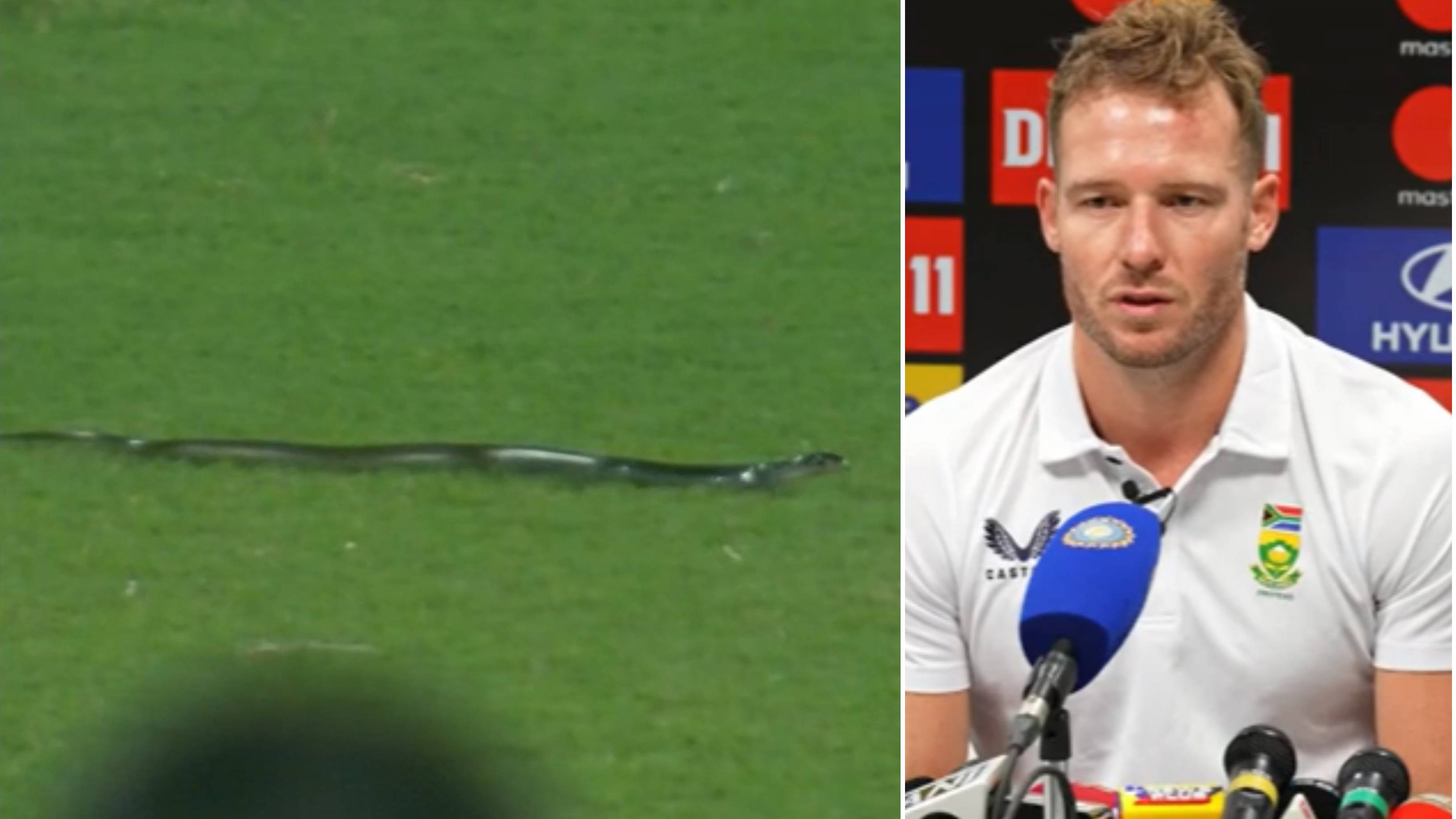 IND v SA 2022: “Just gave us a bit of time to…” David Miller on snake interrupting play in Guwahati T20I