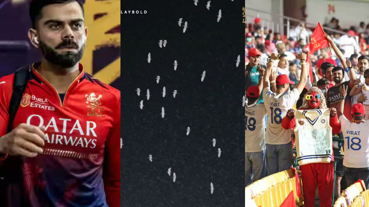 IPL 2025: WATCH- White pigeons fly over Chinnaswamy Stadium on Virat Kohli white jersey tribute day