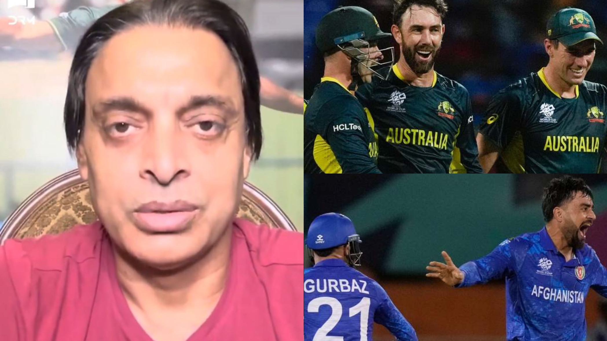 T20 World Cup 2024: WATCH- Shoaib Akhtar uses 'Lion and Elephant' analogy to praise Afghanistan for defeating Australia