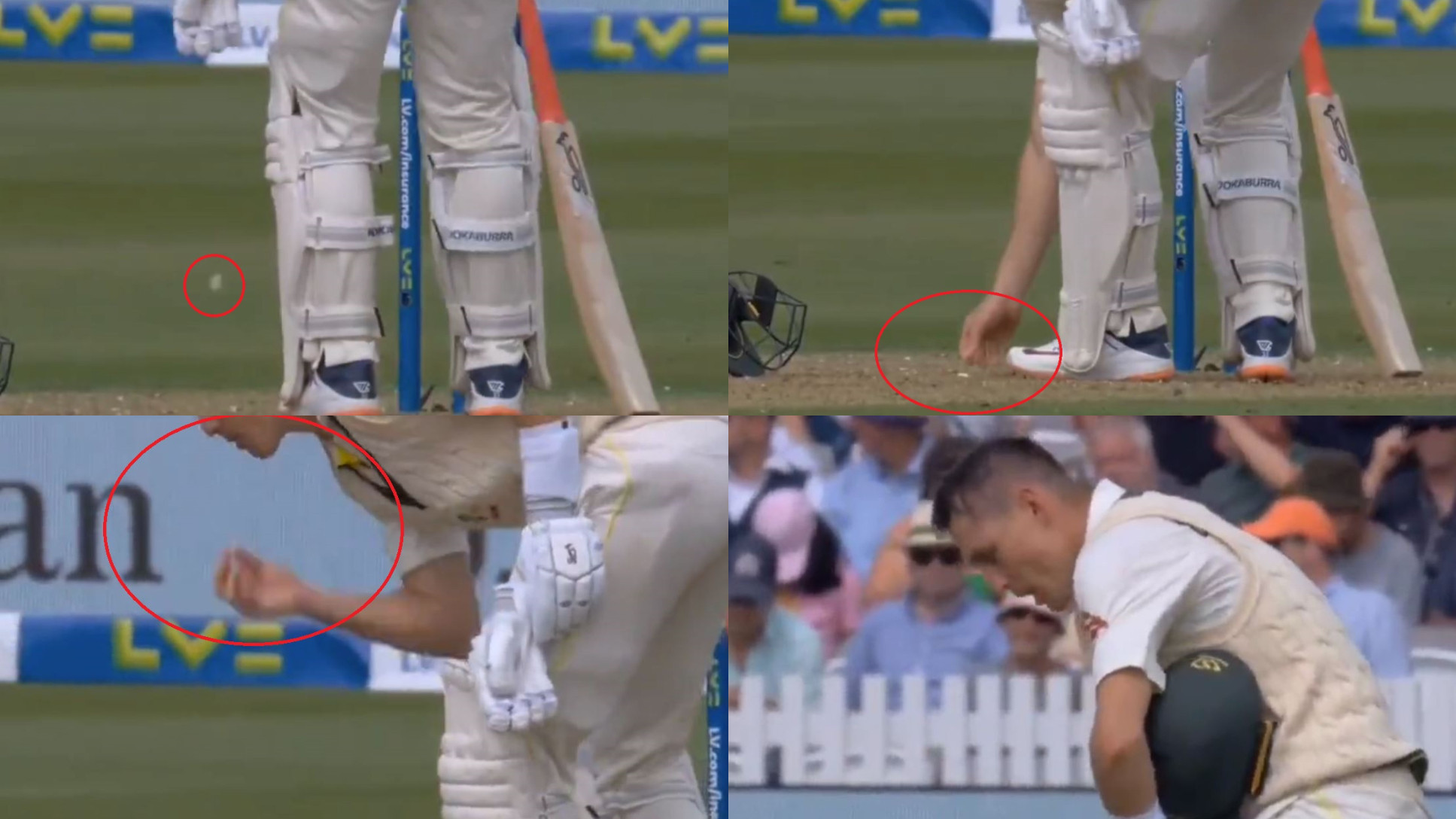 Ashes 2023: WATCH- Marnus Labuschagne’s unhygienic act, puts dropped chewing gum back in his mouth