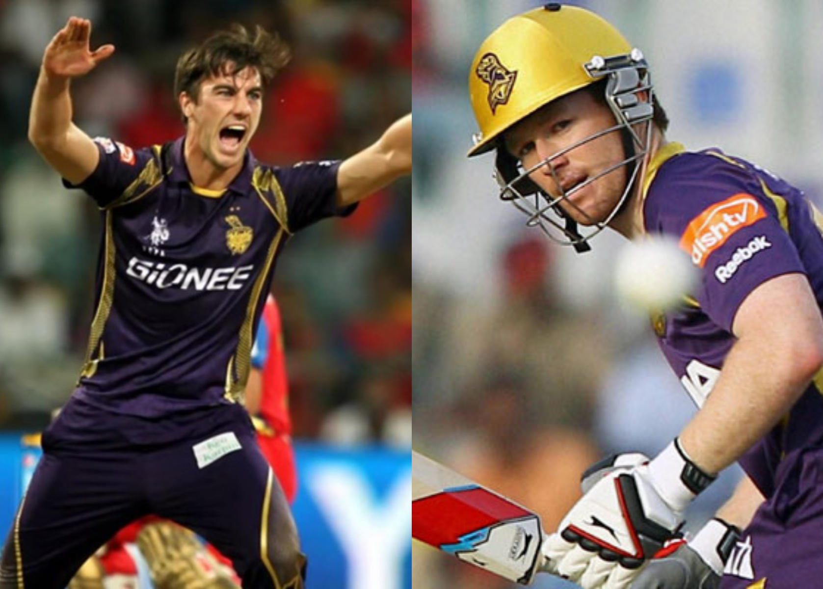 Karthik was excited to have Pat Cummins and Eoin Morgan in his ranks for IPL 2020