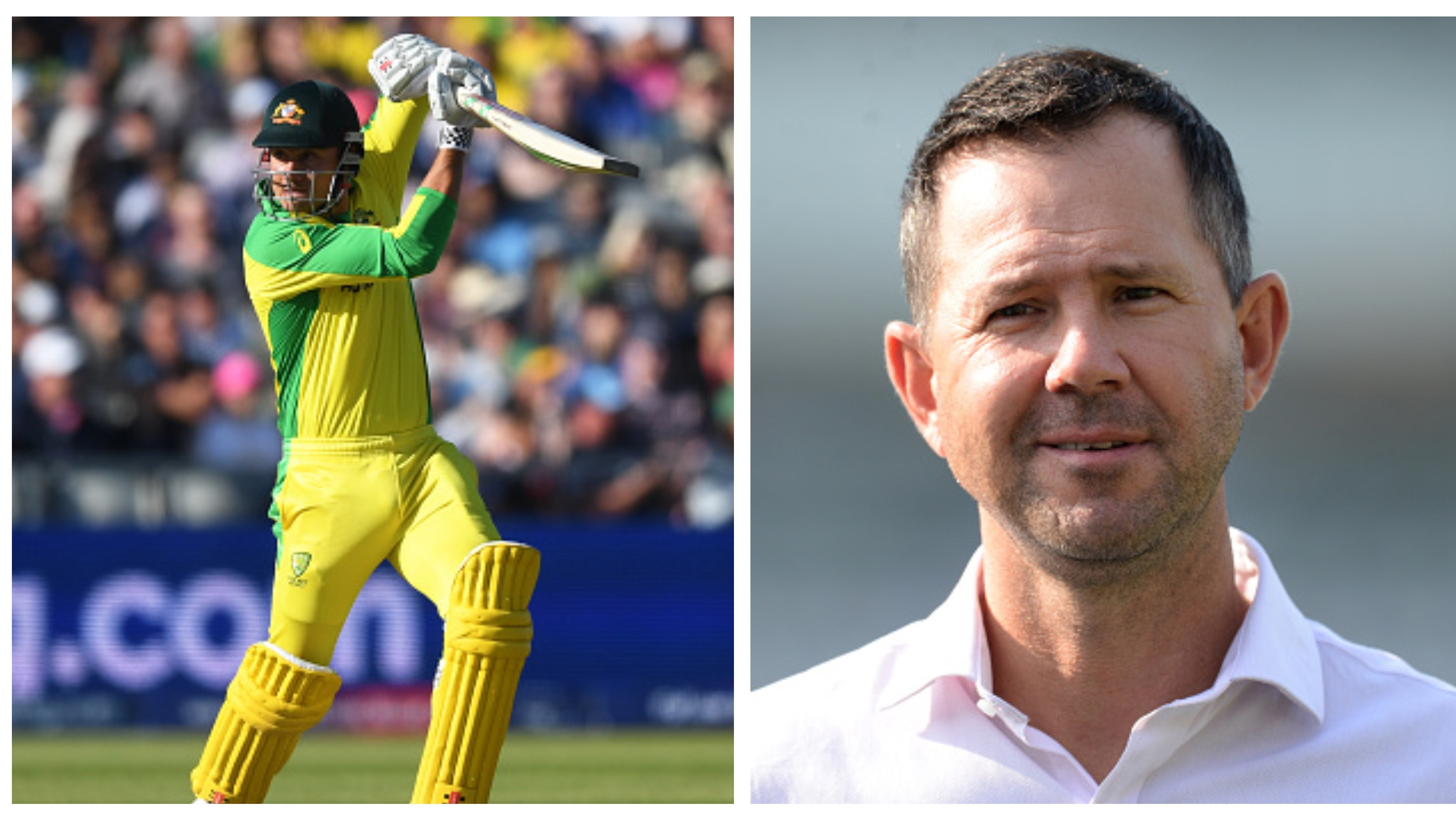 AUS v IND 2020-21: Ricky Ponting lauds Marcus Stoinis, says 