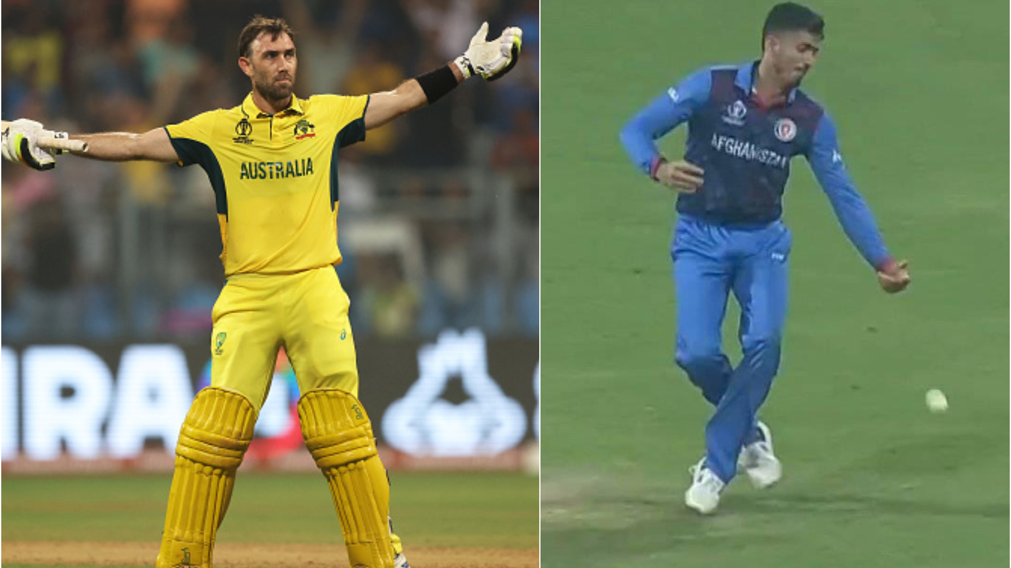 CWC 2023: Maxwell has no ‘sympathy’ for Mujeeb who dropped his easy catch during Australia-Afghanistan clash