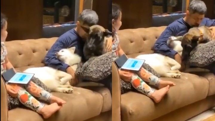 WATCH: Ziva can't stop smiling as MS Dhoni plays with his pet dogs
