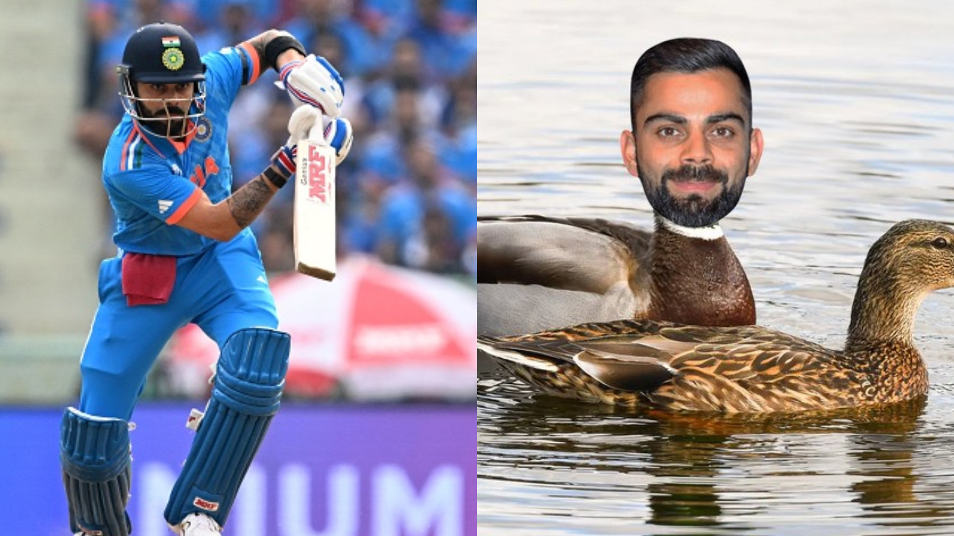 CWC 2023: Barmy Army mocks Virat Kohli with morphed duck image after he gets out for a 0 v England