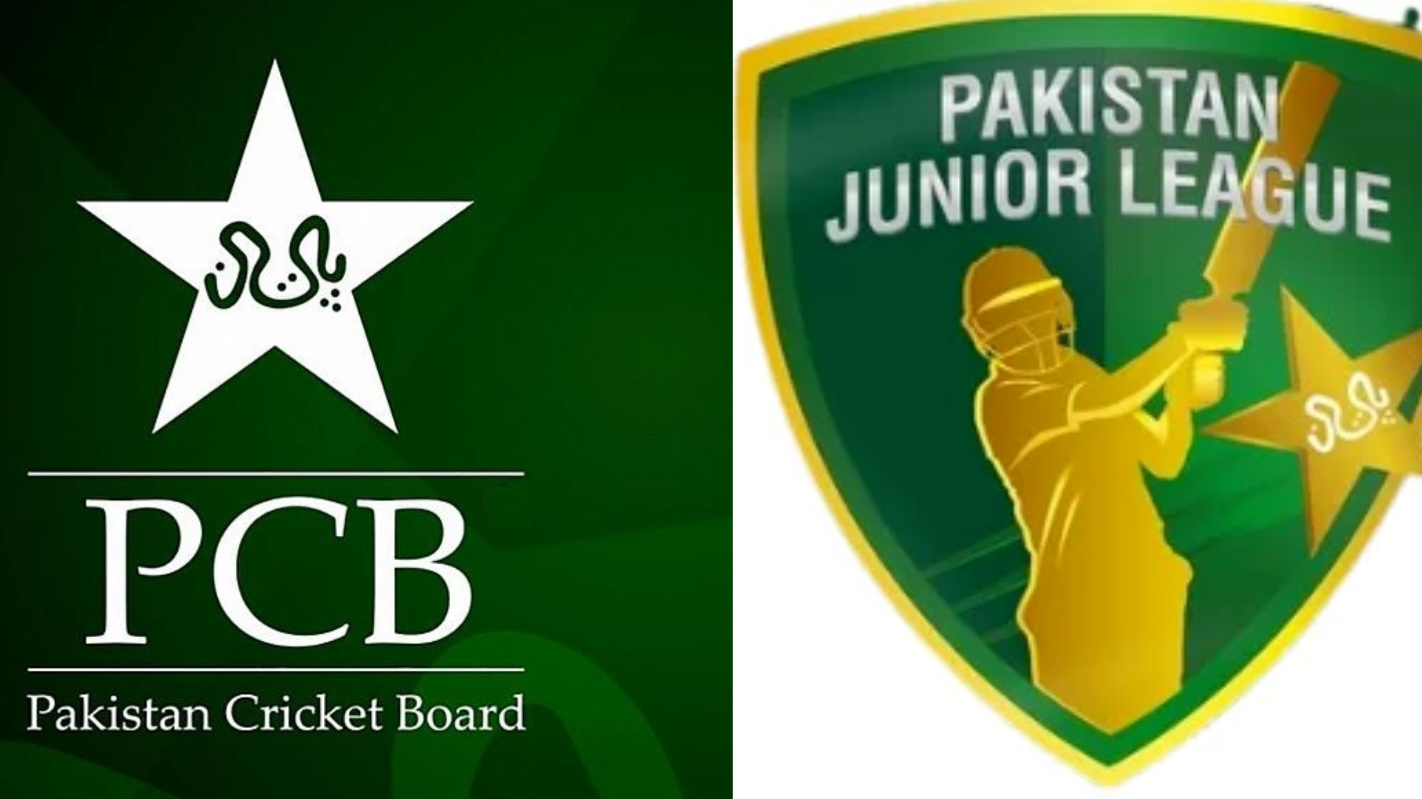 PCB fails to attract bids for team rights in junior T20 league; to manage all six teams on its own