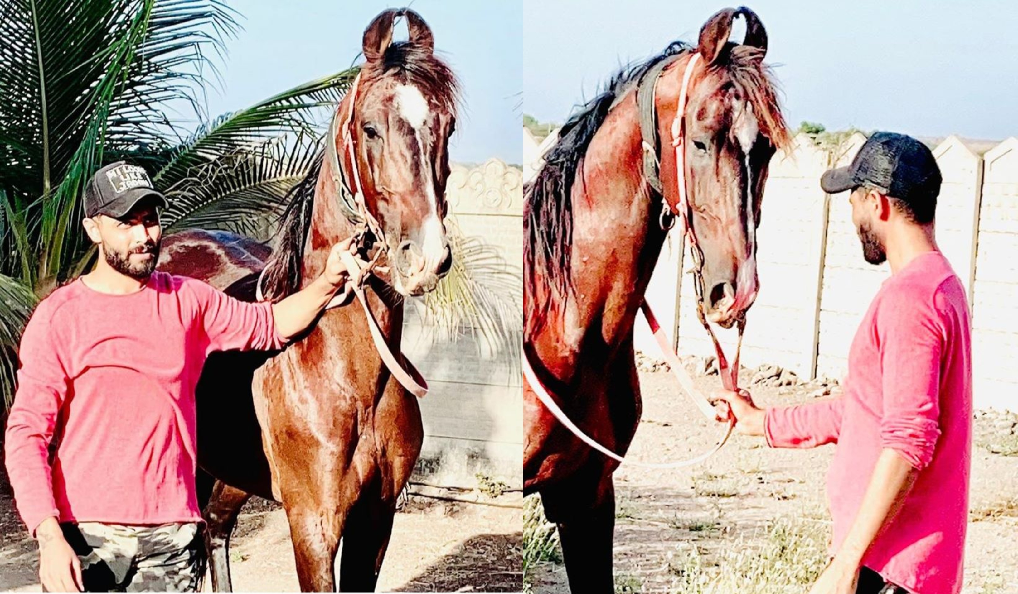 Jadeja shows his love for his horses | Twitter/Facebook