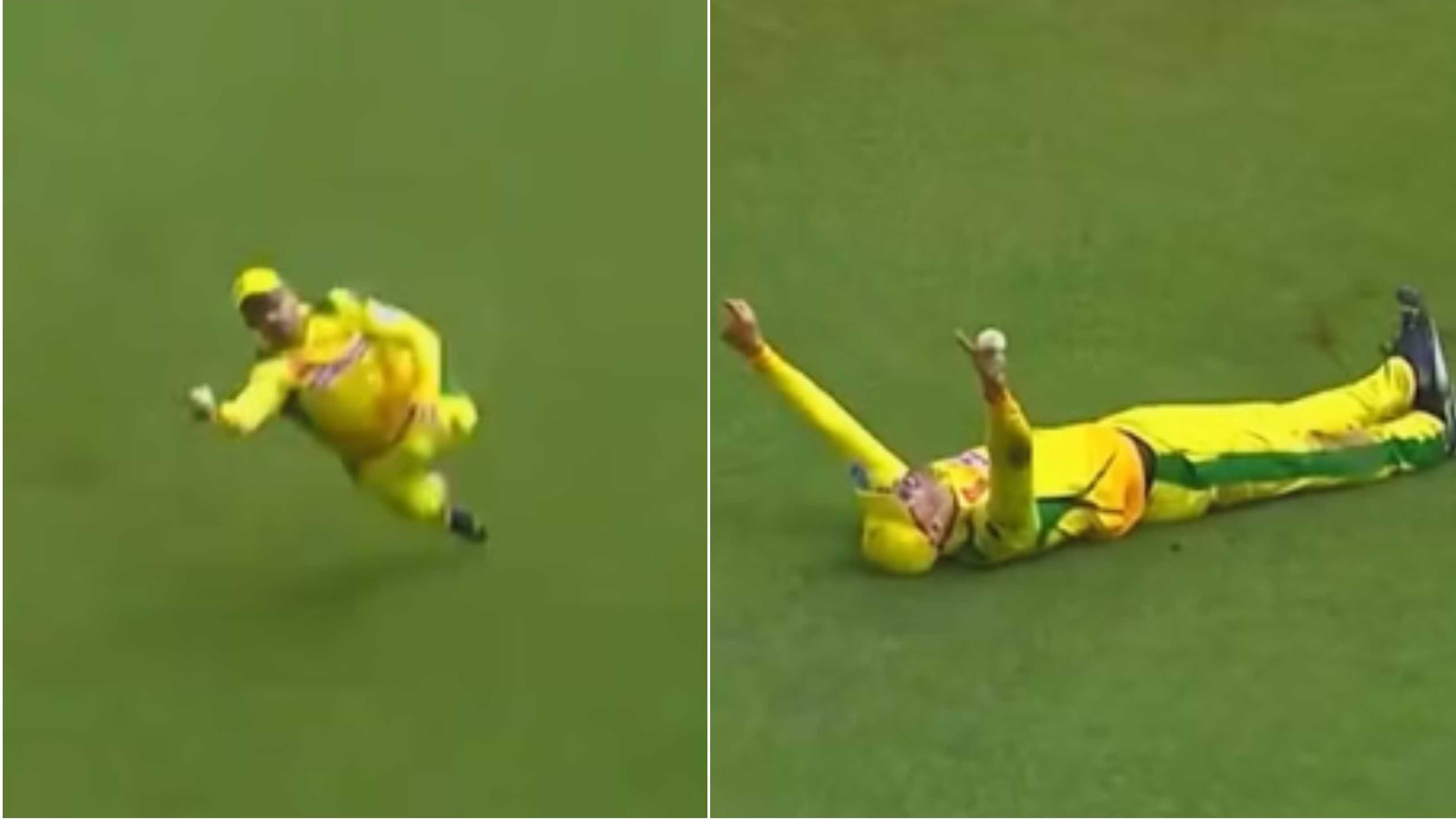 WATCH: Faf du Plessis grabs a one-handed screamer in SA20 2024 match to dismiss Dewald Brevis