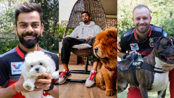 IPL franchises celebrate International Dog Day; posts rare pictures of their players with pets