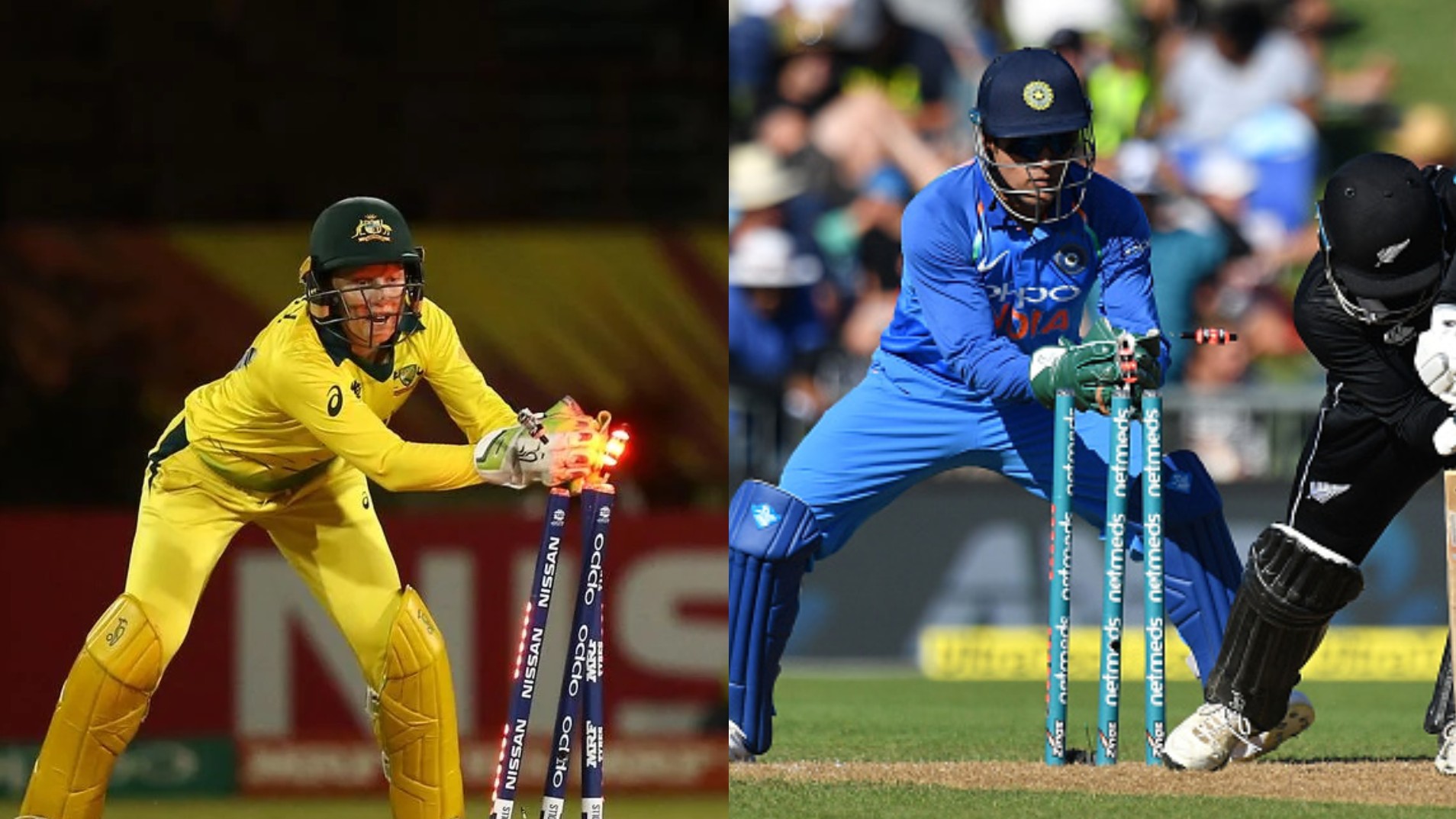Stats - Alyssa Healy breaks MS Dhoni's record of most dismissals as wicket keeper in T20Is