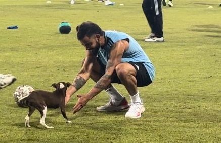 Virat Kohli plays with the puppy | X