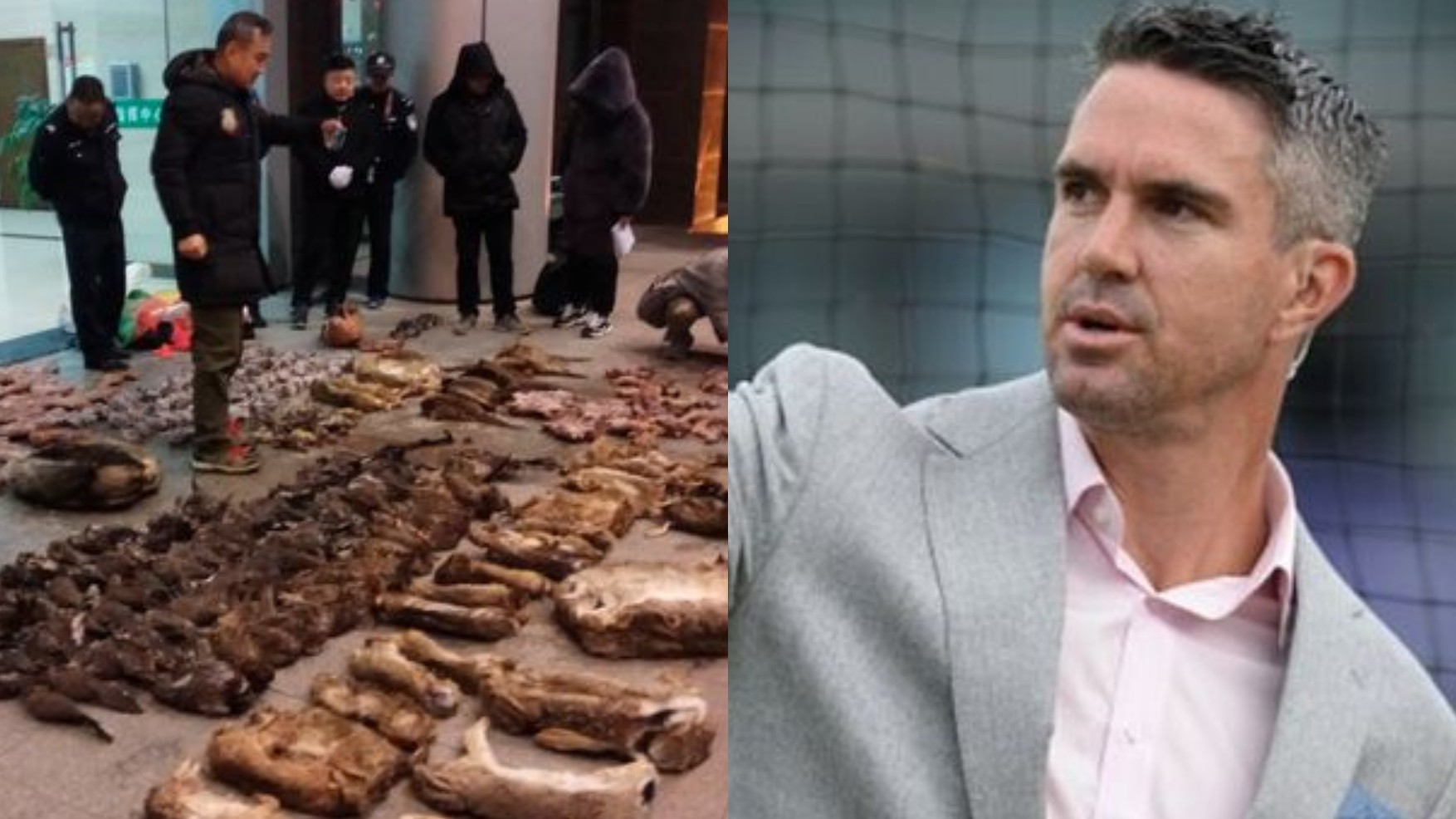 Kevin Pietersen criticizes Wuhan's wet animal market for the spread of Coronavirus