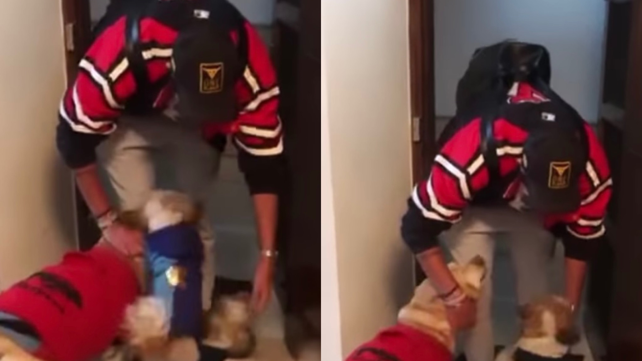 WATCH- Ishant Sharma welcomed by his pets after getting home from England Test series win