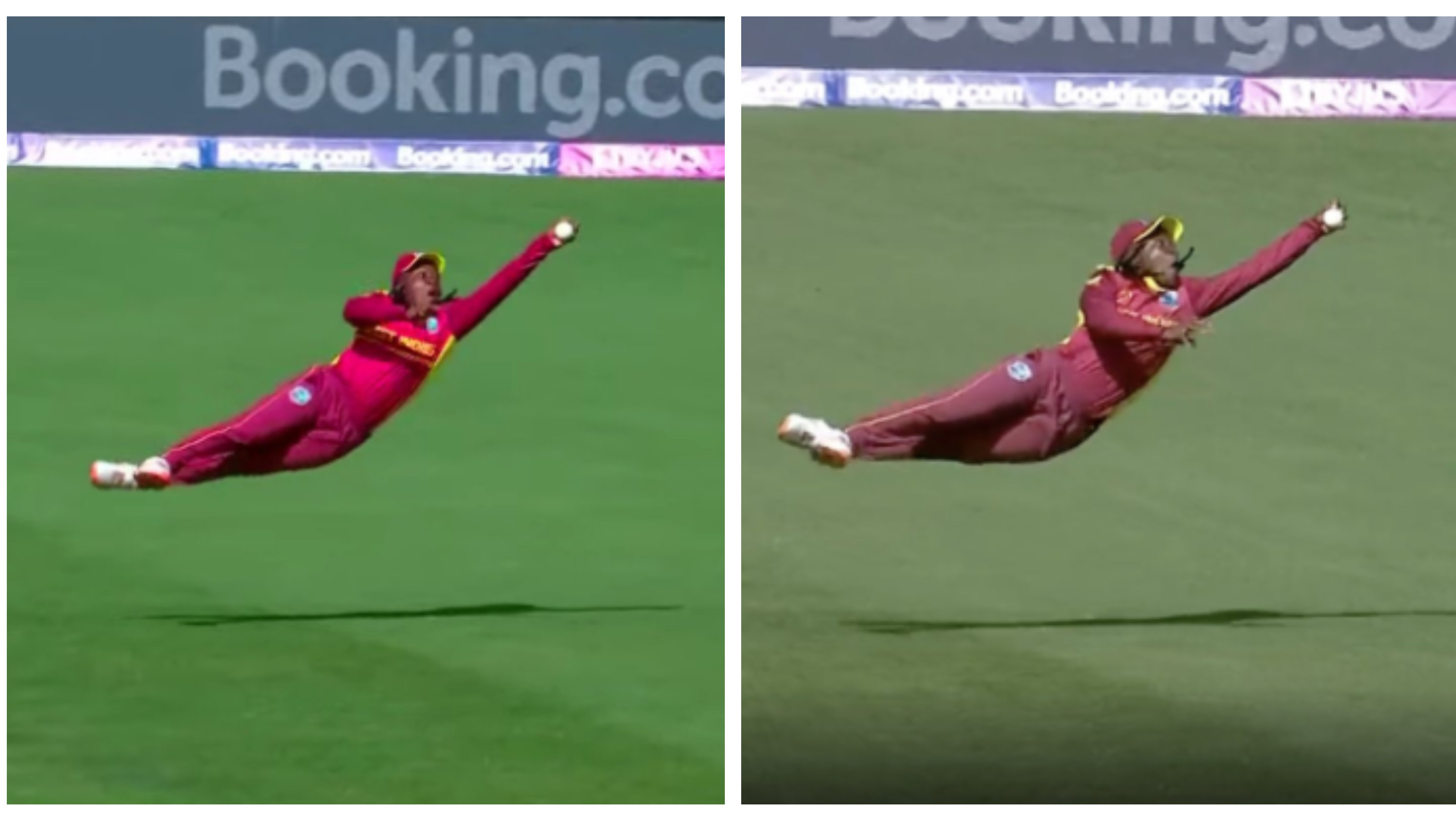 CWC 2022: WATCH – Deandra Dottin grabs a one-handed screamer to dismiss Lauren Winfield Hill