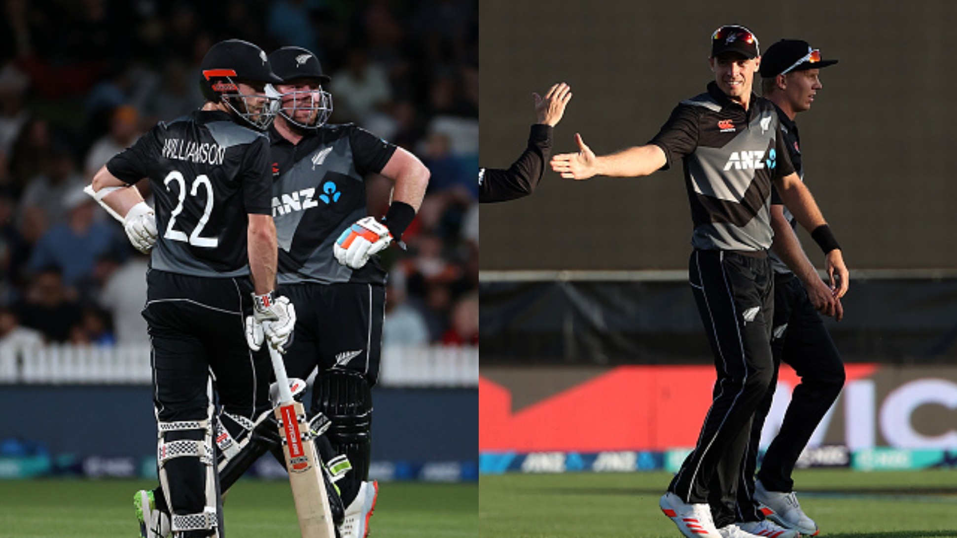 NZ v PAK 2020-21: Southee and Seifert help New Zealand to 9-wicket win over Pakistan, leads T20I series 2-0