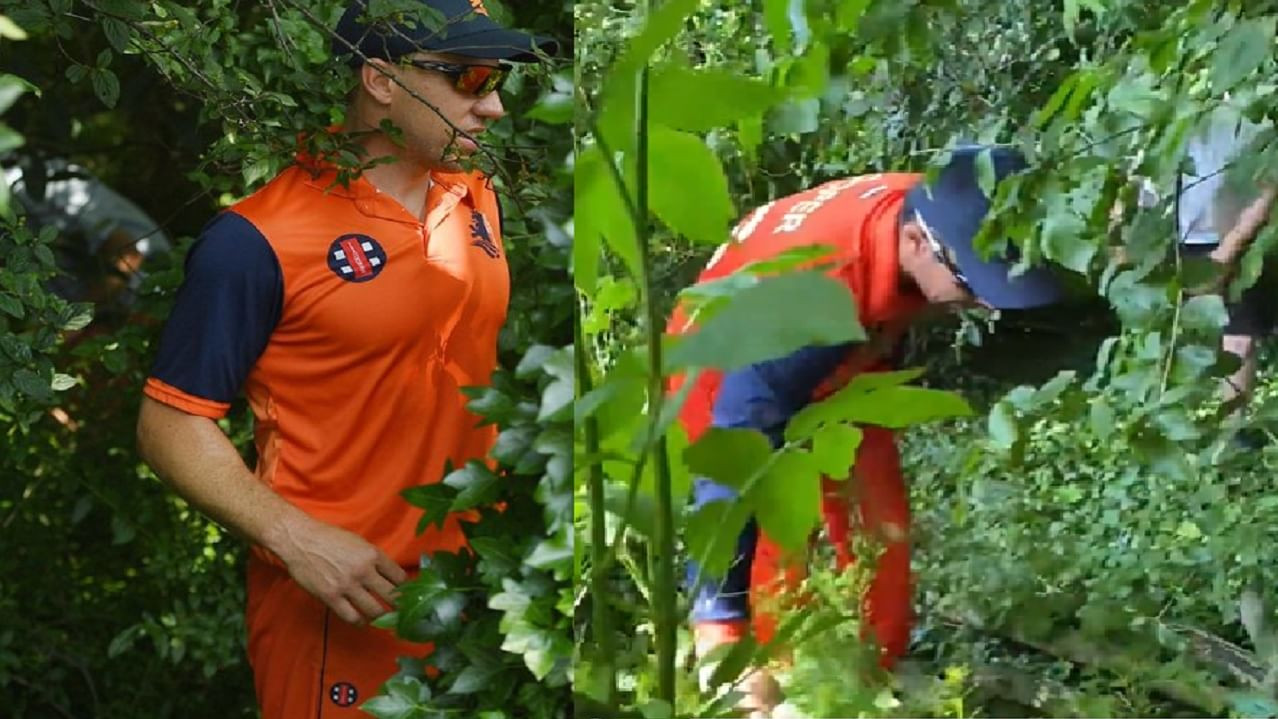 NED v ENG 2022: WATCH- Netherlands players help ground staff find the ball in bushes after Malan six