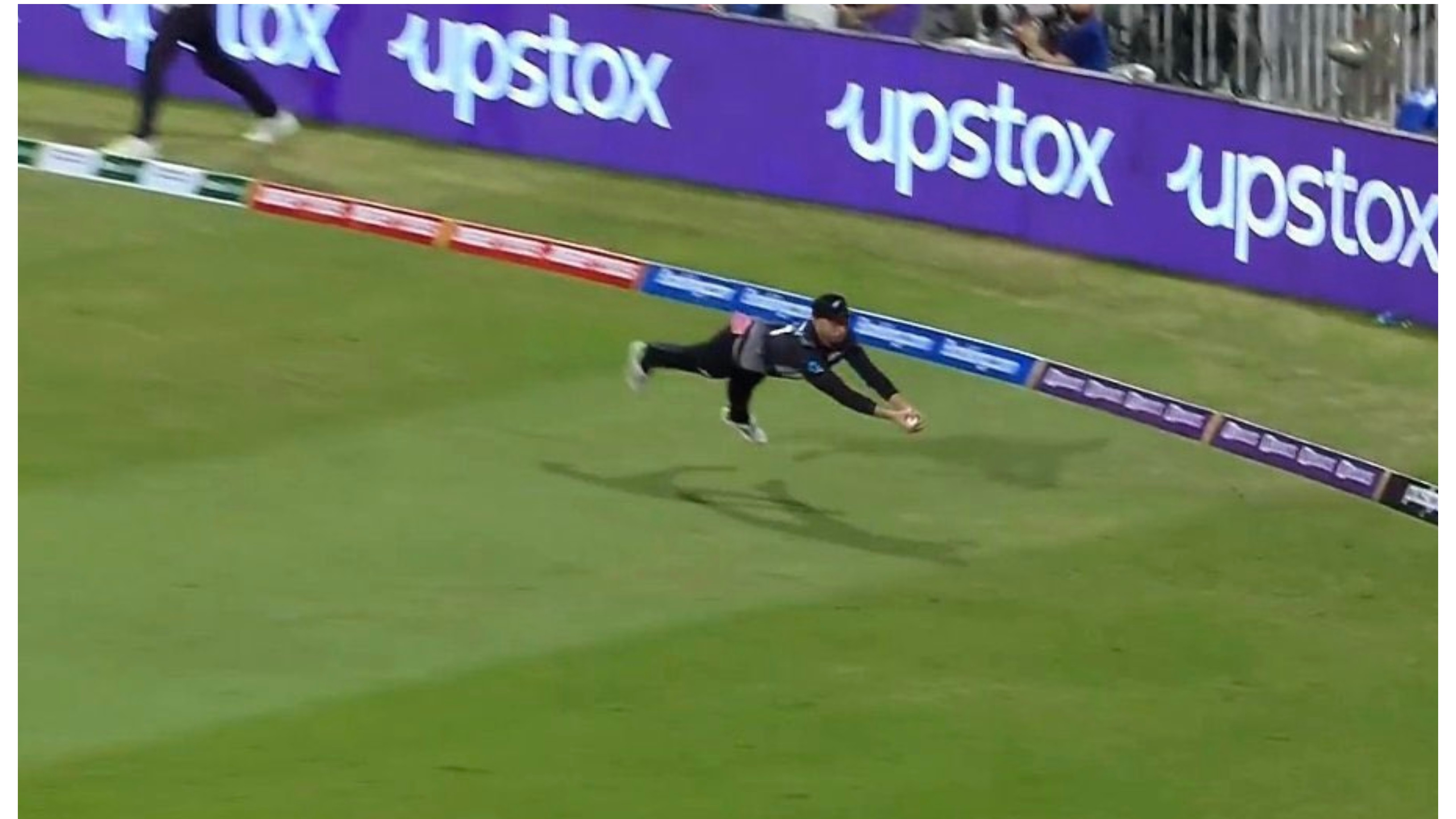 T20 World Cup 2021: WATCH – Devon Conway grabs a stunner out of thin air to dismiss Mohammad Hafeez