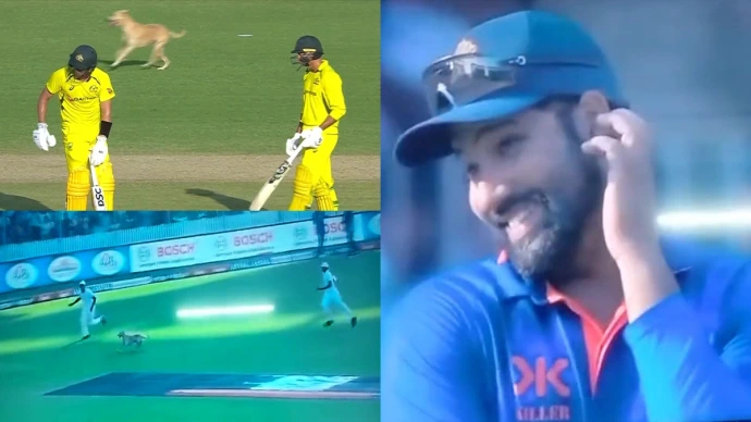 A dog invaded the field during Australian innings in Chennai amusing everyone | Twitter