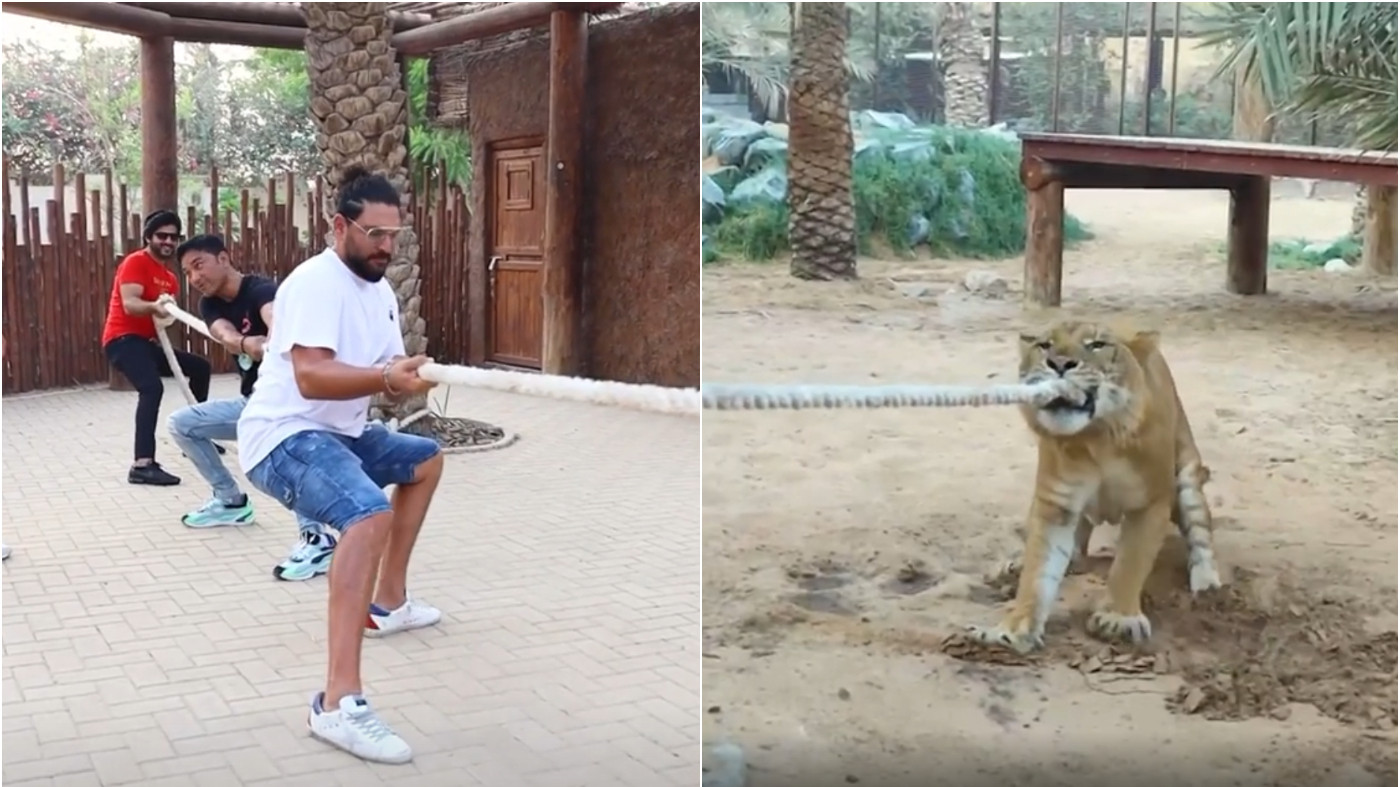 WATCH - Yuvraj Singh's intense tug-of-war with a liger in Fame Park