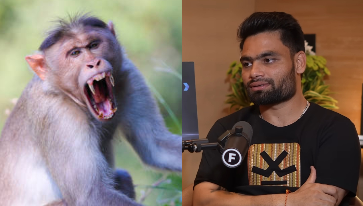 Rinku Singh survived a brutal attack by a monkey | X/Youtube