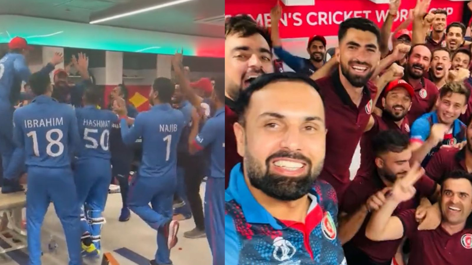 CWC 2023: WATCH - Afghanistan players celebrate historic win over Pakistan in Chennai